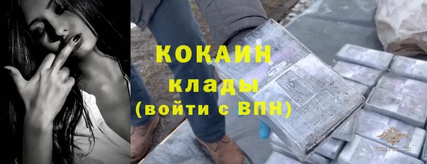 индика Алексеевка