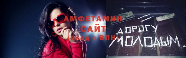 индика Новодвинск