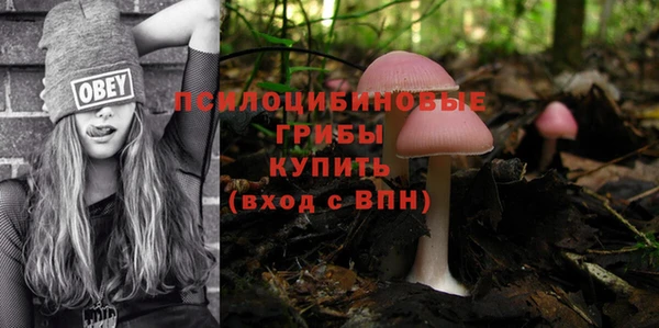 скорость Алексин